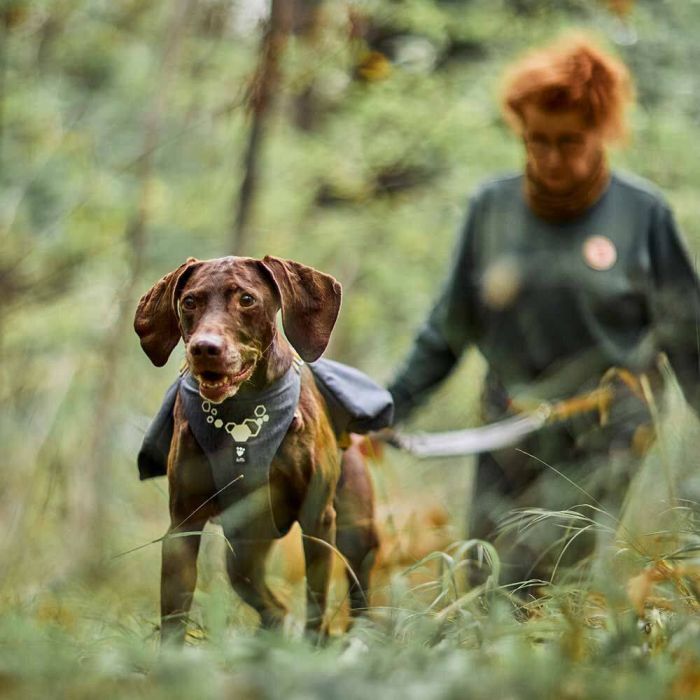 Шлейка-рюкзак для собак Hurtta Expedition Pack ECO Сірий 60-80