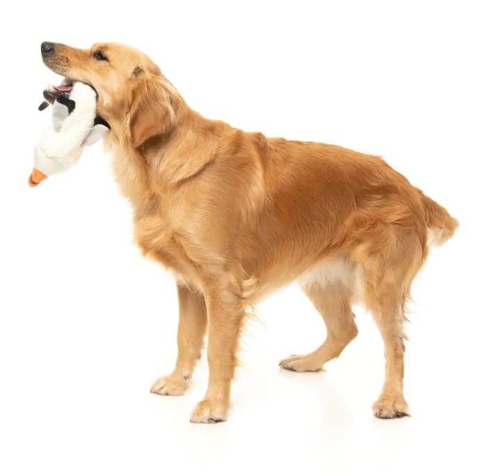 М'яка іграшка для собак FuzzYard Чайка