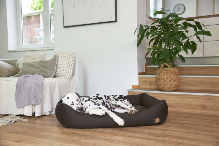 Лежак для собак Palopa Fred Baumwolle Сірий L