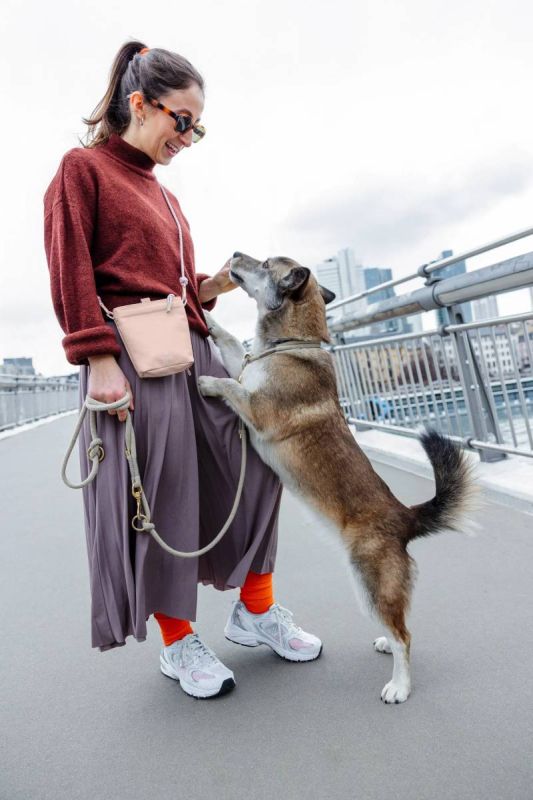 Сумка для ласощів і аксесуарів собак Palopa Karl M Ніжно-рожевий