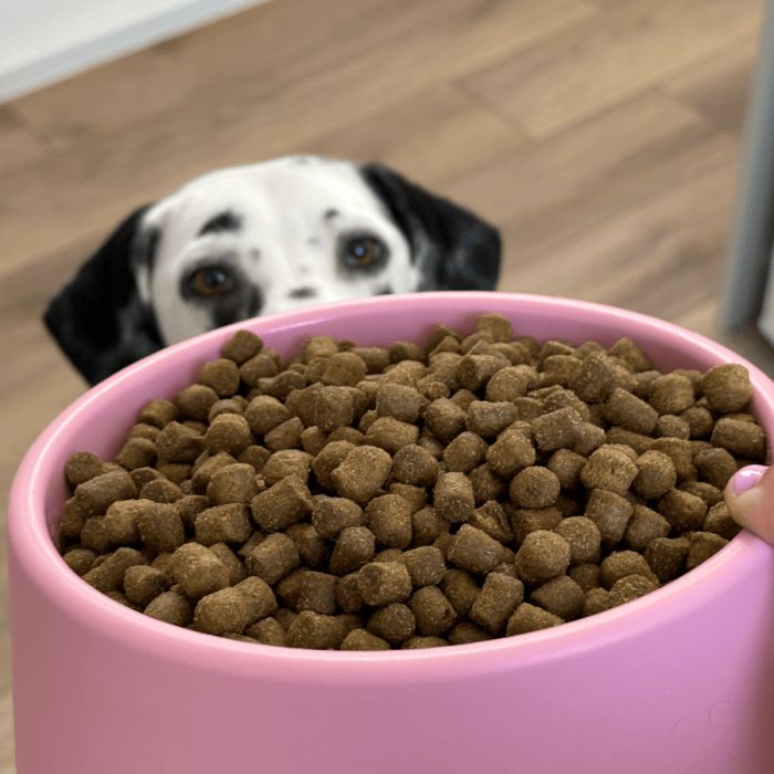 Миска зі 100% переробленого пластику для собак Beco Pets Steady Bowls Рожевий L