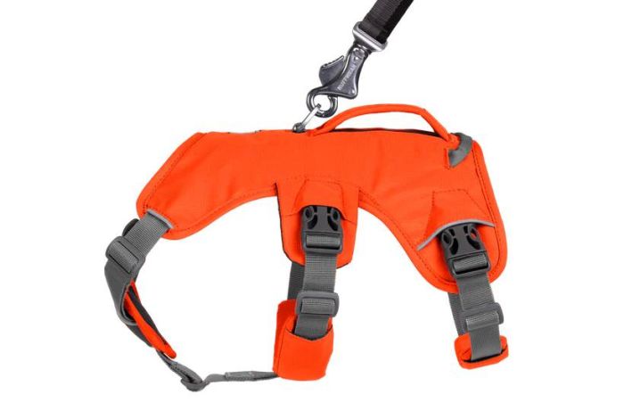 Підтримуюча шлейка для службових собак Ruffwear Web Master™ XS 43-56 см Помаранчевий