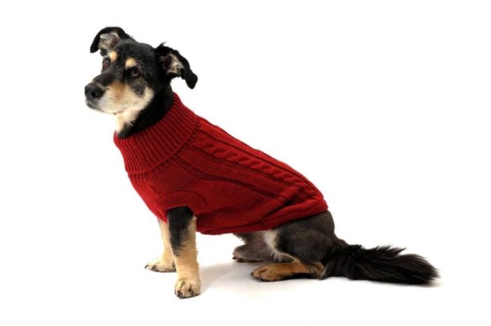В'язаний светр для собаки Wolters Cable Knit з візерунком коси 35 см Червоний
