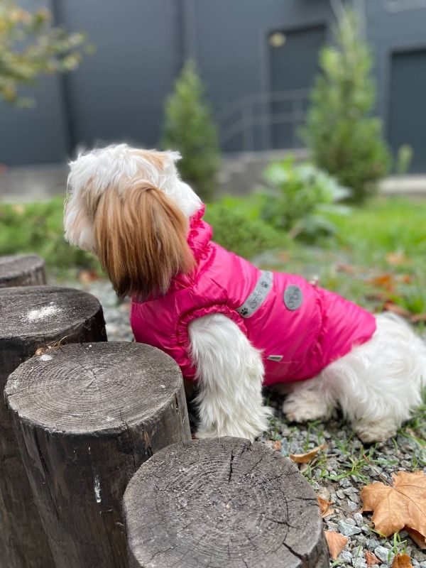 Класика жилет для собак дівчаток на силіконі M1