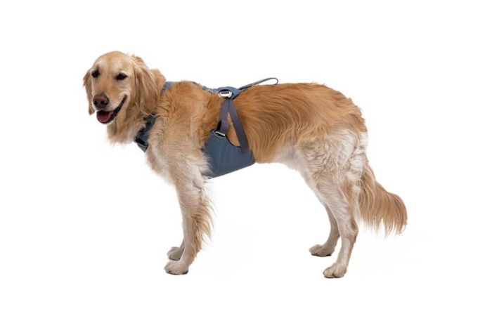 Автошлейка для собак Ruffwear Load Up™ M 69-81 см Синій
