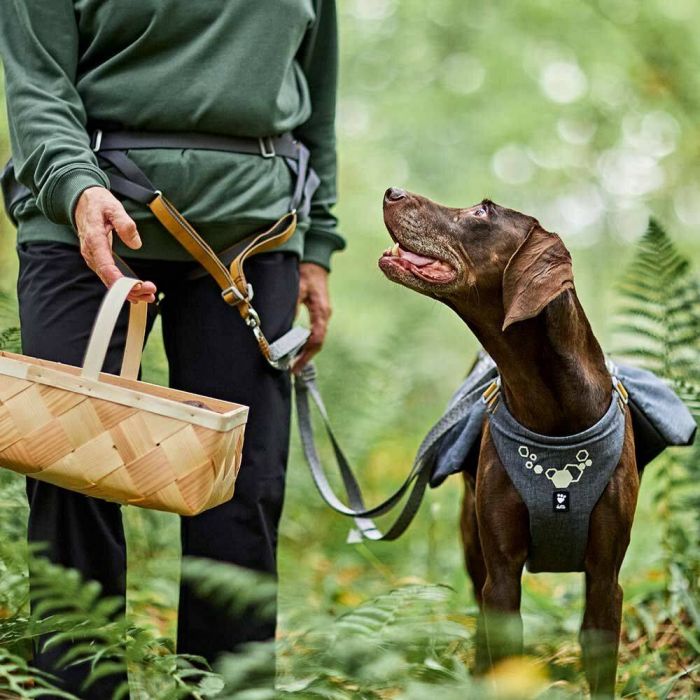 Пояс для прив'язі собак Hurtta Expedition Belt ECO Сірий 70-110