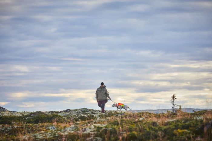 Світловідбивний жилет Protector vest GPS Non-stop dogwear Помаранчевий L