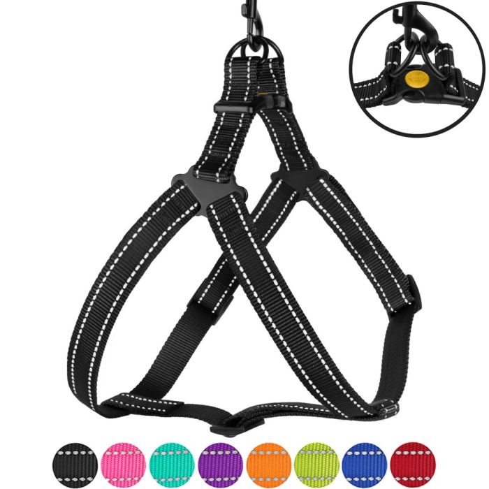 Шлея ACTIVE нейлонова зі світловідображенням Чорна ширина 20мм  Обхват Груди 45-56см