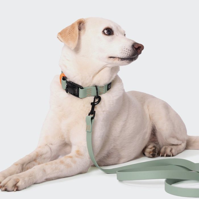 Нашийник для собак Cloud7 Ipanema М'ятний L