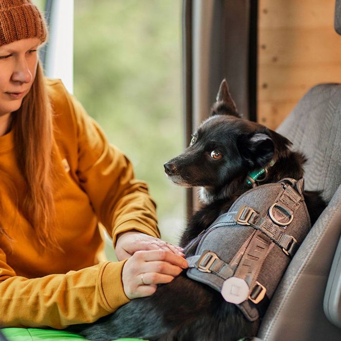 Шлейка для подорожей для собак Hurtta Travel ECO 0-5 кг Сірий