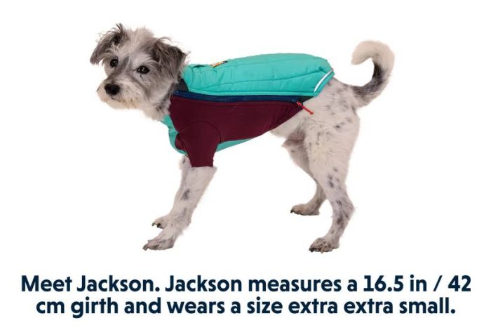 Зимова куртка для собак Ruffwear Powder Hound™ L Бірюзовий