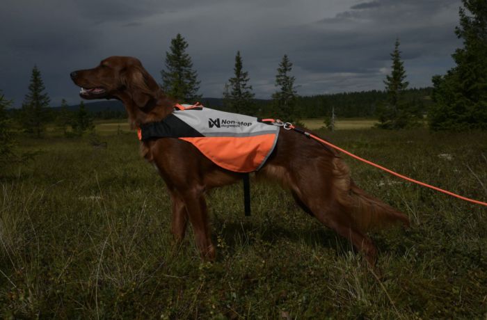 Жилет для собак Non-stop dogwear Protector cover 2.0 Білий/Чорний/Помаранчевий S