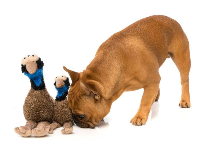 М'яка іграшка для собак FuzzYard Ему Оз L