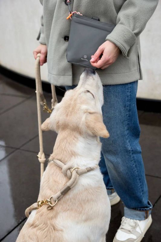 Сумка для ласощів і аксесуарів собак Palopa Karl M Темно-сірий