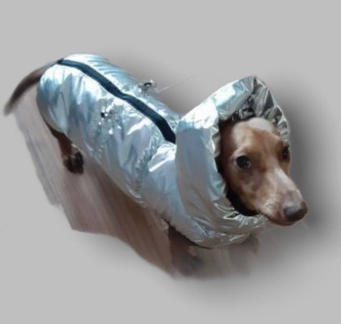 Осло жилет для собак Dog Love срібло M