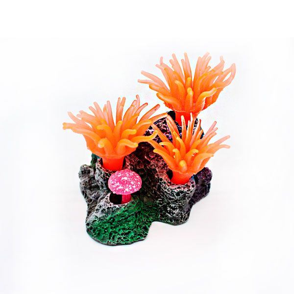 Корал актінія помаранчевий, 8х5х8 см 