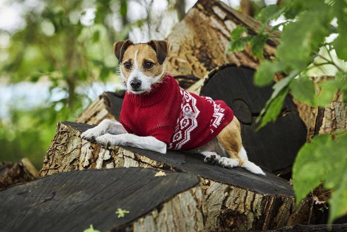 Светр в'язаний для собаки Wolters Norwegian 25 см Червоний