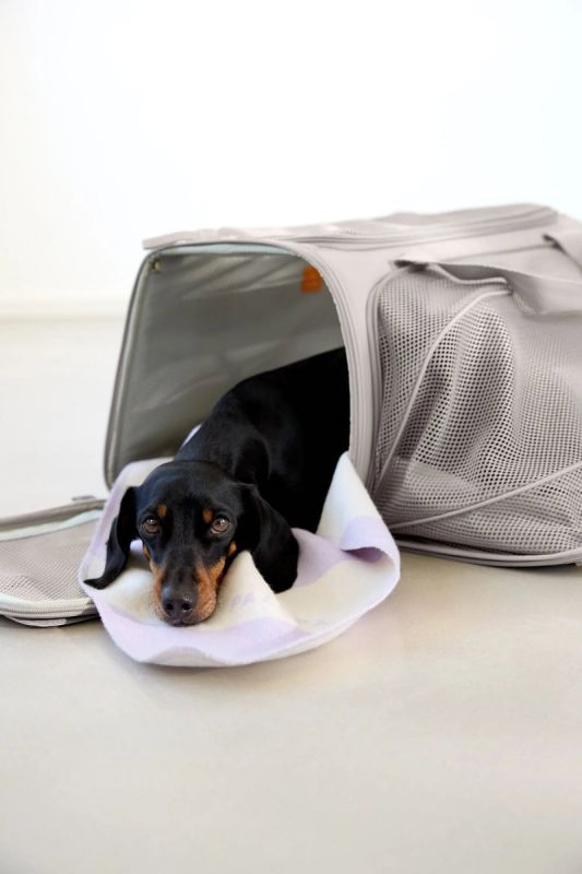 Сумка-перенесення для собак Palopa Benno Бежевий