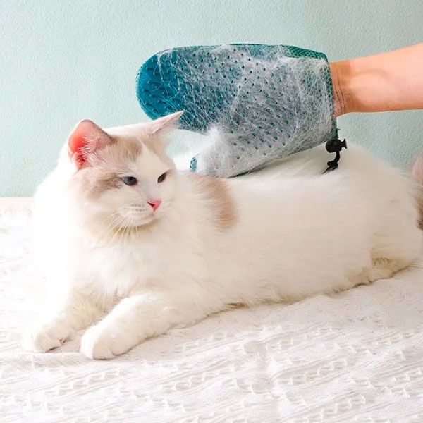 Рукавичка двостороння для вичісування шерсті зелена 