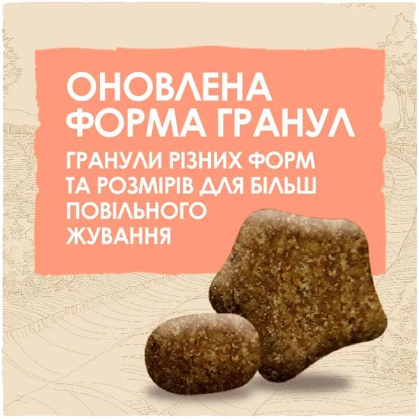 Dog Chow Active Adult 1+ сухий корм для собак із підвищеною активністю з куркою 14 кг