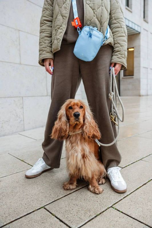 Сумка для ласощів і аксесуарів собак Palopa Greta L Світло-блакитний