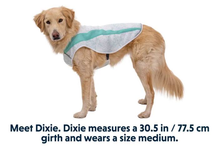 Охолоджуюча попона для собак Ruffwear Swamp Cooler™ XL Зелений