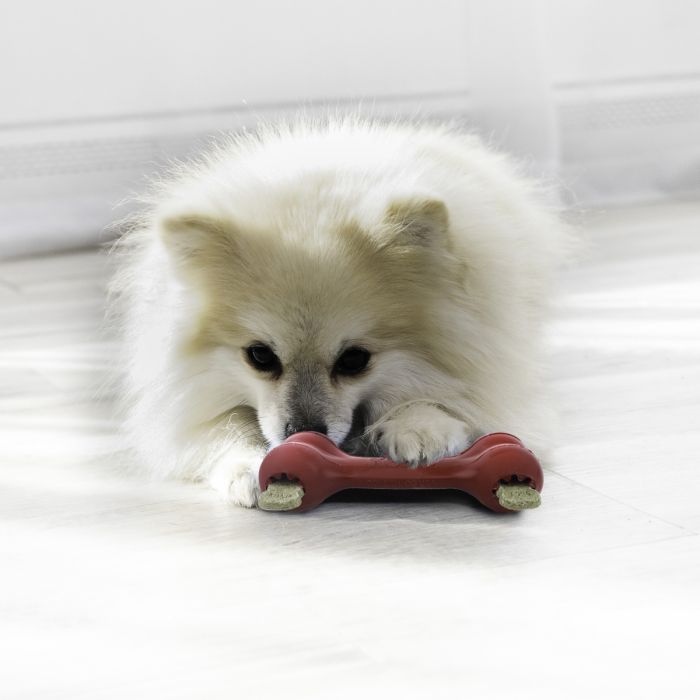 Іграшка для собак Kong Goodie Bone Червоний S