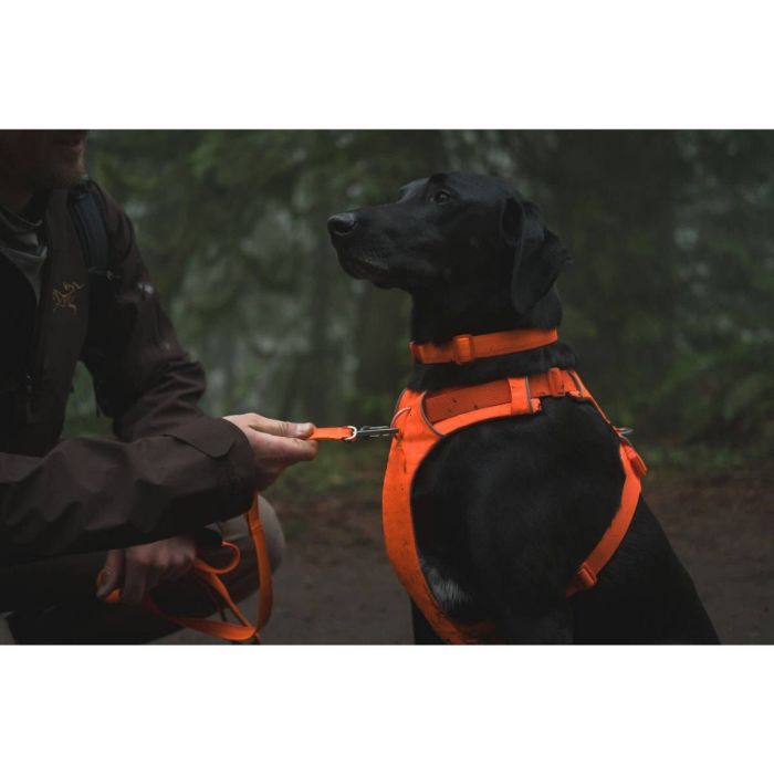 Повсякденний нашийник для собак Ruffwear Front Range™ 28-36 см Помаранчевий