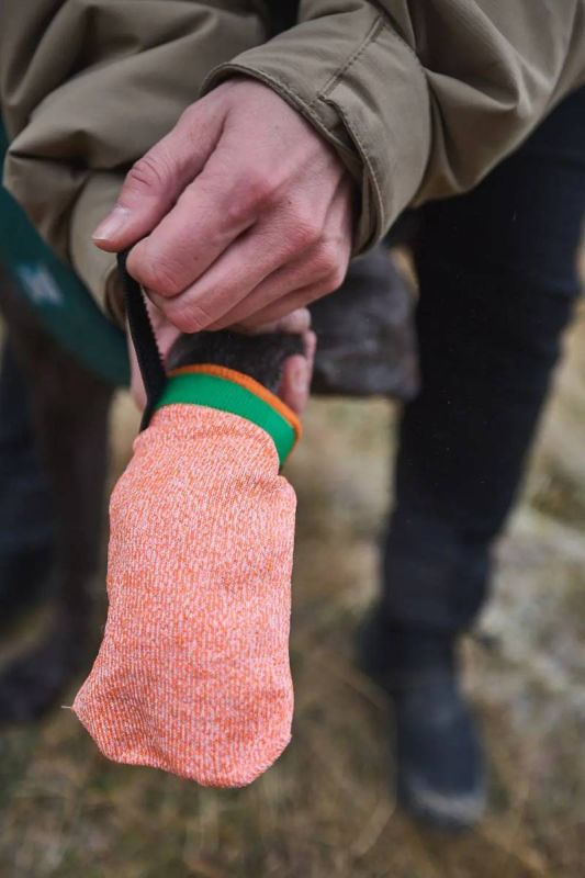 Шкарпетки для собак Protector light socks Non-stop dogwear Помаранчевий S 4 Шт.