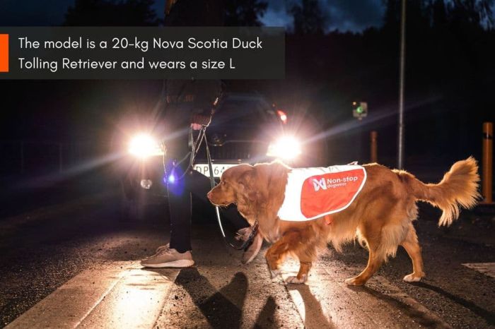 Світловідбивна попона Reflection blanket Non-stop dogwear Помаранчевий L