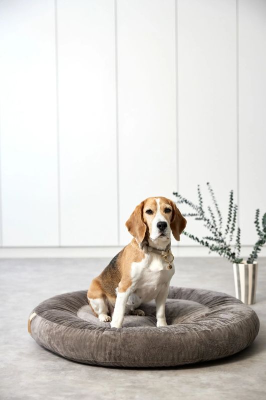 Лежак для собак Palopa Donut Fippa Коричневий M-L