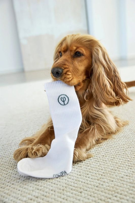 Шкарпетки для власників собак Palopa Tennis Socks Logo Помаранчевий/Блакитний/Сірий 3 пари 35-40