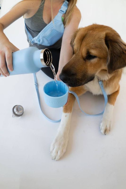 Термос із спеціальною мискою для собак Springland Блакитний 710 мл + 240 мл