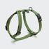 Повсякденна шлейка для собак Cloud7 Rescue Basic Harness Зелений L