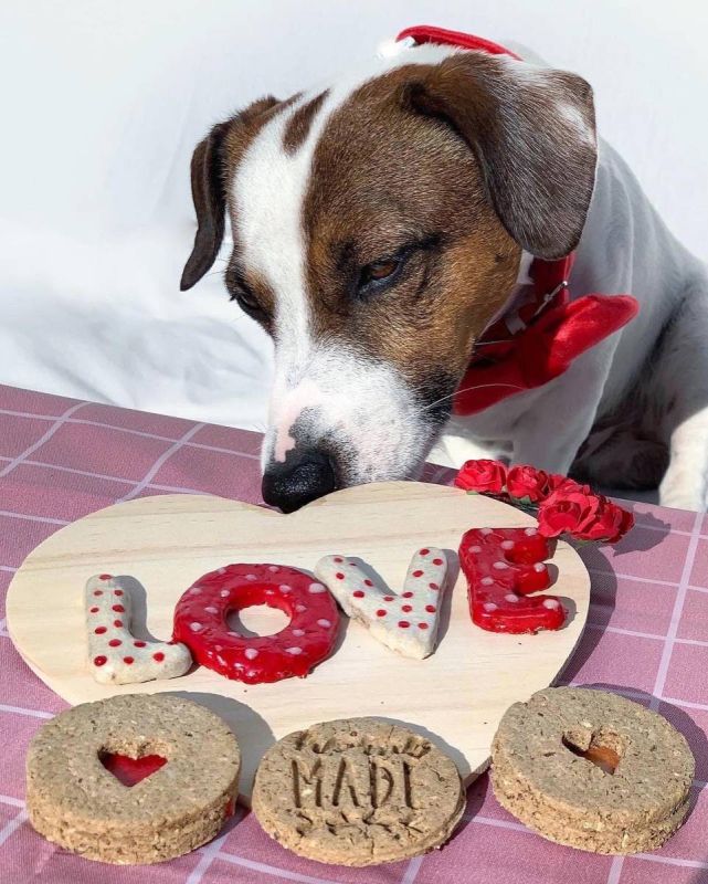 Набір натурального печива для собак Cooka's Cookies До Дня Святого Валентина 4 шт. 65 г