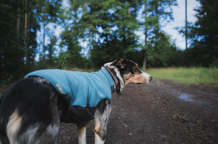 Флісовий пуловер для собак Non-stop dogwear Trail Quest Fleece Pullover Бірюзовий 55