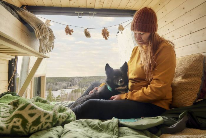 Анатомічна шлейка для собак Hurtta Casual Y-harness 45-55 Бірюзовий