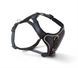 Шлейка для собак пом'якшена Wolters Professional Comfort 3 50-60 см / 30 мм Графітовий