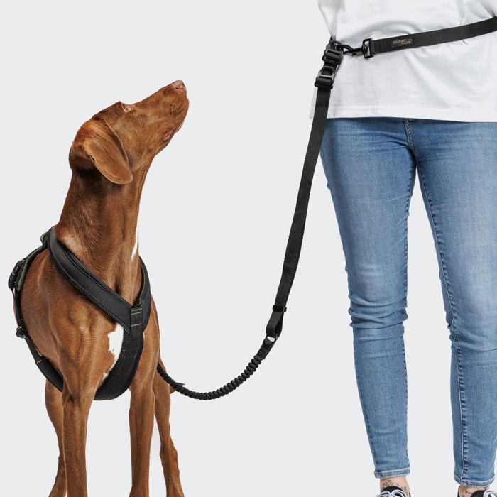 Повідець з амортизацією для собак Cloud7 L-2-Jogging-Leash AKTIV Чорний S
