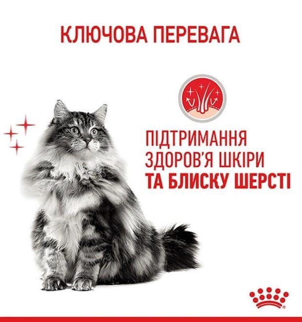 АКЦІЯ Royal Canin FCN HAIR  SKIN CARE CIG Вологий корм для котів із свійської птиці 3+1 по 85 г 