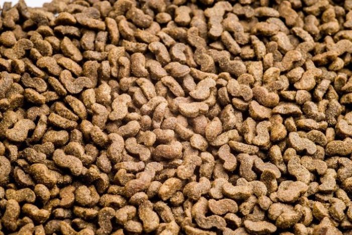 Акція CLUB 4 PAWS Сухий корм для собак малих порід з ягням та рисом 14кг (-18)