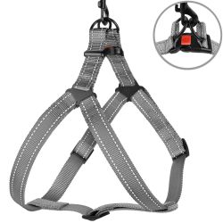 Шлея для собак BronzeDog 16мм (40-53 см) сіра пластиковий фастекс 1311 70Т 