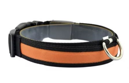 Нашийник для собак, рожевий нейлоновий з USB, 2,5 см  41-52 см Помаранчевий.