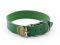 Нашийник Franty Style шкіра 40 мм х 56-66 см зелений