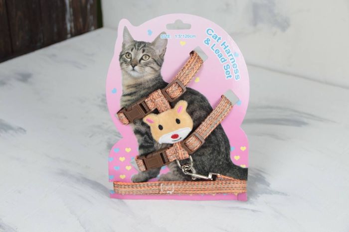 Комплект Хомячок, шлея з повідцем для кішки помаранчева Обєм грудей 24-38 см