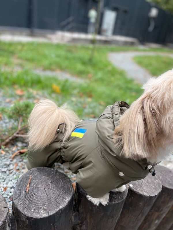 Хакі комбінезон для собак хлопчиків на силіконі XS