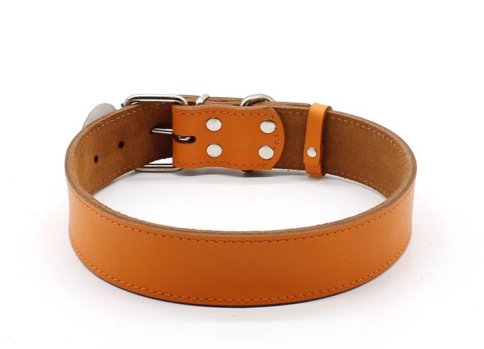 Нашийник Franty Style шкіра 40 мм х 56-66 см блакитний