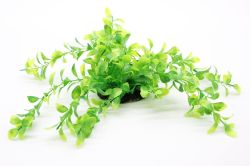 Рослина для акваріуму 006В, 8х6х25 см 