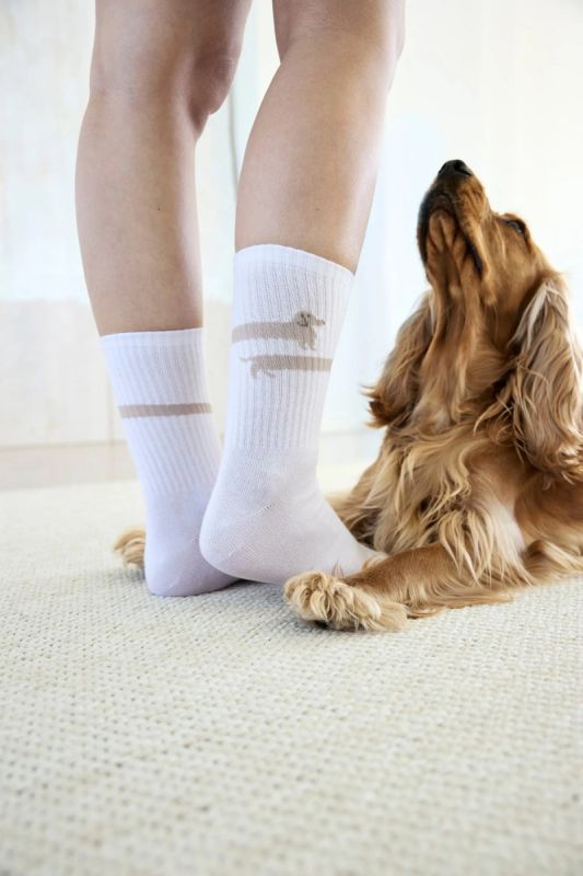 Шкарпетки для власників собак Palopa Tennis Socks Long Badger Dog 40-45