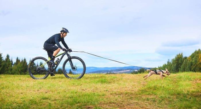 Антена для велосипеда Bike antenna Non-stop dogwear Сірий